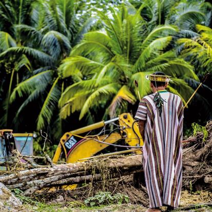 Un hombre ashaninka, de Perú, observa unos trabajos de tala. Esta etnia es la más numerosa y extendida de la Amazonia, y ha sufrido la sangrienta y despiadada guerra civil que lanzó a Perú al abismo en los años ochenta. Durante más de 20 años se produjo una verdadera carnicería de indígenas con más de 6.000 víctimas mortales contabilizadas (y las que nunca se encontraron) y más de 5.000 secuestrados. El terrorismo, el narcotráfico y las multinacionales que van tras los recursos naturales son las principales amenazas a las que se enfrentan.