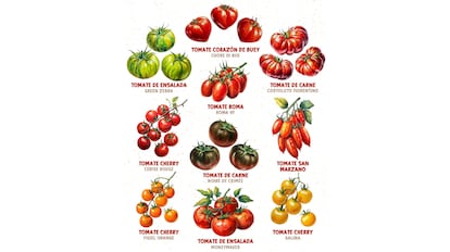 Este es uno de los mejores set de semillas de tomates ecológicas que se puede comprar en Amazon