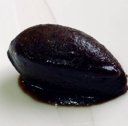 EL FAMOSO SORBETE DE ACEITUNAS NEGRAS / CAPEL