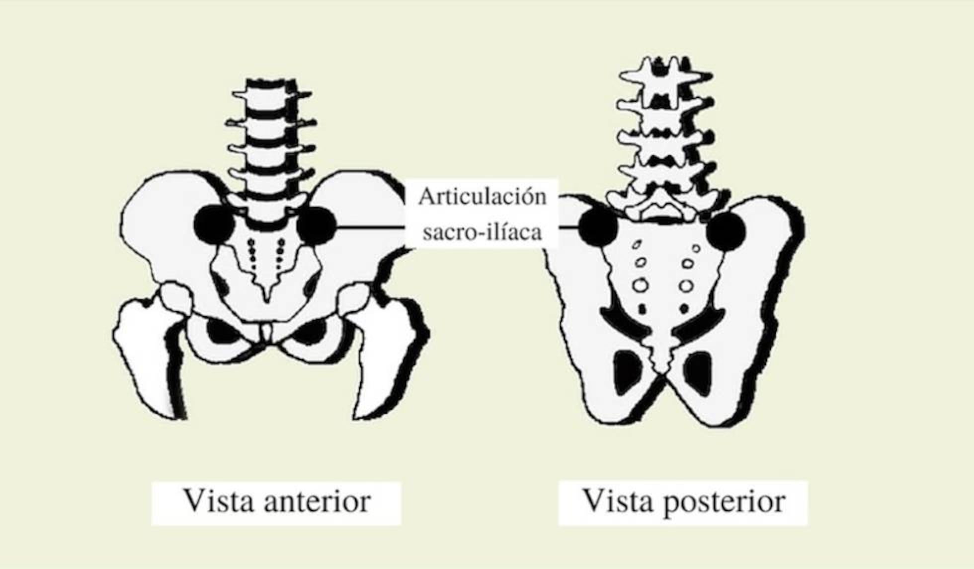 Si tienes esto en la espalda, significa que eres buen amante” | Bienestar |  BuenaVida | EL PAÍS