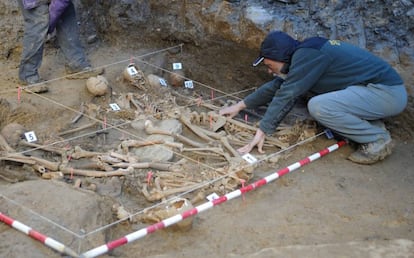 Trabajos de exhumación de restos de la Guerra Civil en Zigoitia (Álava).