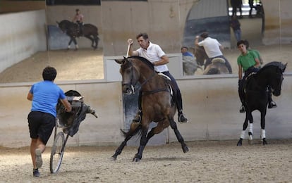 Pablo Hermoso de Mendoza entrena con Janucá, en presencia, al fondo, de su hijo Guillermo.