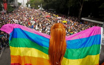  La multitudinaria participación también fue posible porque el evento ha conseguido atraer al público heterosexual y a las familias, muchas de las cuales desfilan para homenajear a sus parientes, como los representantes de la red de apoyo Madres por la Diversidad. En la foto, una mujer sostiene la bandera del arcoíris.