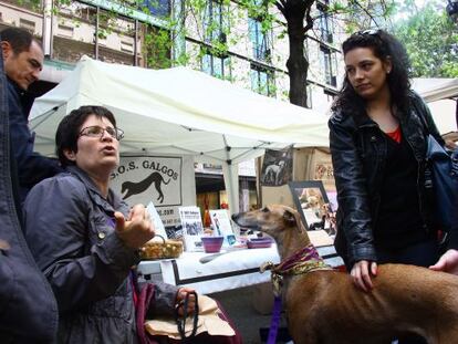 Isabel Vilaburgués, de la organización sin ánimo de lucro S.O.S. Galgos, en el Día de Sant Jordi de Barcelona