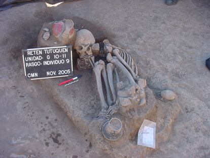 Detalle de uno de los restos óseos hallados en el cementerio de Tutequén, Chile, uno de los más antiguos de América.