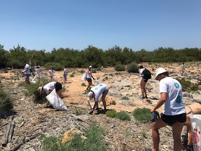 Limpieza de una playa en Menorca por parte de personal de la empresa de alimentación Delicious & Sons.