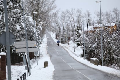 Imatge de la nevada a Prades.