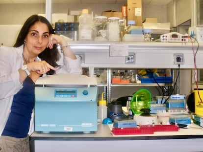 Inmaculada Ibáñez, bióloga e investigadora, posa en el laboratorio en el que trabaja en el hospital La Paz (Madrid).