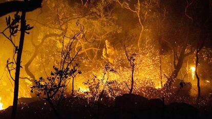 Homem combate o foto no cerrado, na Chapada dos Veadeiros.