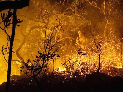 Homem combate o foto no cerrado, na Chapada dos Veadeiros.