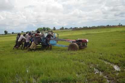 Camboya