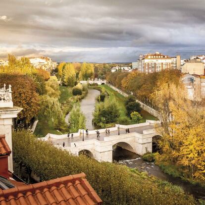 La capital burgalesa tiene zonas arboladas en las márgenes de los ríos Pico, Vena y Cardeña. Los tres confluyen en el eje que vertebra la ciudad, el Arlanzón, un camino de aguas mansas paralelo al de Santiago.