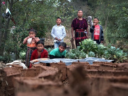 Crisis alimentaria Guatemala