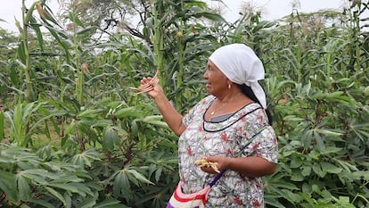 mujeres Wayuú