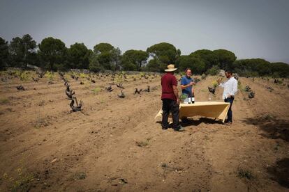 Cata de vino de la denominación Vinos de Madrid en la bodega Las Moradas de San Martín de Valdeiglesias.