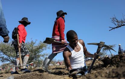 Buscadores de diamantes en la localidad de KwaHlathi, provincia de KwaZulu-Natal, Sudáfrica.