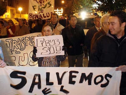 Benalúa sale en defensa de un ficus centenario