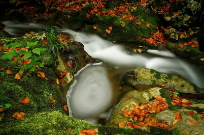 Vista de la corriente del ro Veyron a su paso por La Tine de Conflens, en La Sarraz (Suiza).