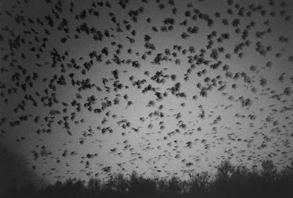 'Noboribetsu Hot Spring' (1977) de la serie 'Ravens'