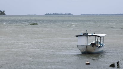 A 135 quilômetros de Maceió, a cidade alagoana de Piaçabuçu fica na foz do Rio São Francisco. Com o movimento da maré, o rio fica mais ou menos cheio de acordo com o período do dia. Mas com a seca que o 'Velho Chico' vem enfrentando, a água do mar tem adentrado cada vez mais no leito do rio, causando o efeito de salinização da água. 