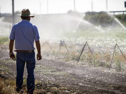 Las ayudas directas de la PAC dividen a las Comunidades Autónomas