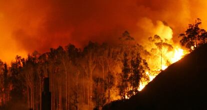 El incendio de Fragas do Eume durante la madrugada.