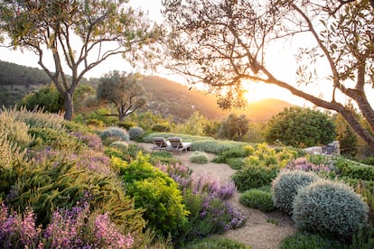 El jardín mediterráneo es uno de los grandes protagonistas de 'Visionary: Gardens and Landscapes for our Future'. En la imagen, un proyecto del paisajista Juan Masedo en Ibiza.
Fotografía: Claire Takacs.