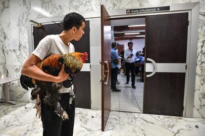 Una mujer sostiene en sus brazos un gallo dentro de la Corte Superior de Rochefort (Francia), durante el desarrollo de un caso en el que la justicia debe decidir si un gallo vivo debe considerarse una molestia para los vecinos.