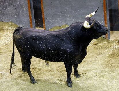 Un ejemplar de Miura, lidiado en la Feria de Abril de 2017.