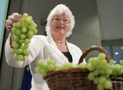 La comisaria europea de Agricultura, Mariann Fischer Boel, tras la presentación ayer de los planes de reforma del sector vinícola.