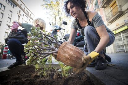 Barcelona dispone de unos 6,82 m2 de espacio verde por habitante en tramo urbano. Unas cifras "insuficientes", según Park(ing) Day, para que Barcelona se convierta en una verdadera ciudad verde. En la foto, una mujer coloca una maceta en la Ronda de Sant Pau.