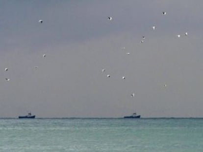 La aeronave perdió el contacto con los radares poco después de despegar del aeropuerto de Sochi, balneario ruso a orillas del mar Negro