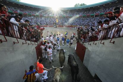 Los toros de la ganadería de Fuente Ymbro llegan a la plaza de toros de Pamplona.