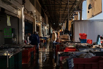 Los pasillos del mercado de la Viga a las 6 am, el mercado de pescados y mariscos más grande de México.