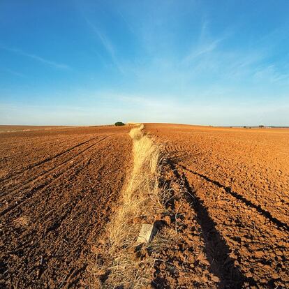 Un moj&oacute;n ca&iacute;do recuerda una de las fronteras m&aacute;s ancianas del Viejo Continente, la que separa Portugal de Espa&ntilde;a. A cada lado quedan las tierras roturadas de Campo Maior (izquierda) y Badajoz. El acabado es casi id&eacute;ntico.