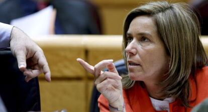 La ministra de Sanidad, Servicios Sociales e Igualdad, Ana Mato, en el Senado. 