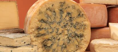 Stilton, el queso que puede hacerte soñar con ratones detectives.