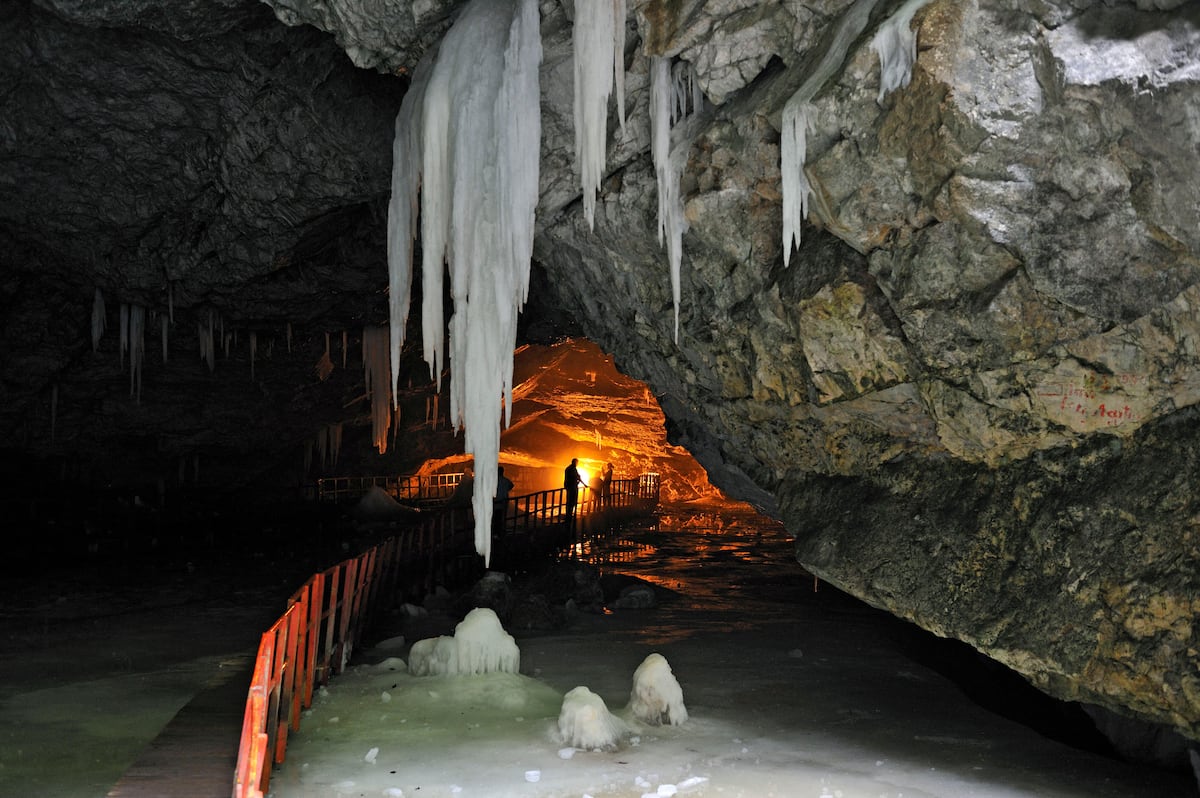 A bacterium frozen 5,000 years ago has been found capable of standing up to super-pathogens