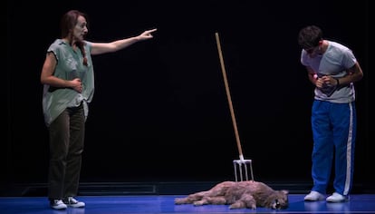 Ensayo de 'El curioso incidente del perro a medianoche' en el Teatro Marquina de Madrid. 