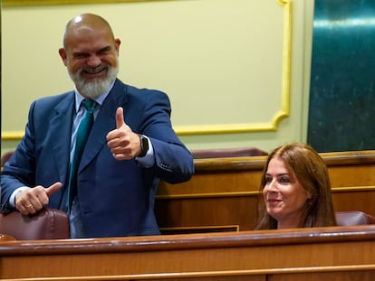 Los diputados de Vox Víctor Manuel Sánchez y Carla Toscano, en el Congreso.