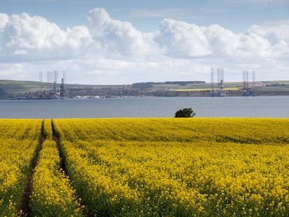 Plataformas petrolíferas em desuso em Cromarty Firth (Escócia), nesta terça-feira.