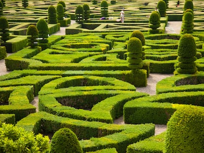 Los jardines del castillo de Villandry, en el valle del Loira (Francia).