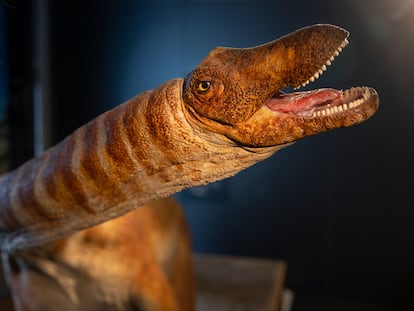Reproducción de un titanosaurio hallado en el Pirineo catalán, en exhibición en el Instituto Catalán de Paleontología Miquel Crusafont (Sabadell).