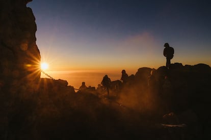 En esta ruta se comprueba que, en la altitud, aún resisten especies heroicas como la violeta del Teide, un arbusto de apariencia delicada pero de una fortaleza inusitada. La noche se pasa en el Refugio de Altavista, para luego madrugar y remontar el último tramo hasta el Pico Teide. Desde allí se puede disfrutar de un grandioso amanecer.