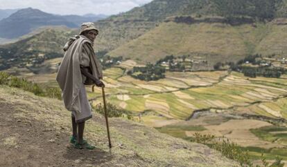 Campos rehabilitados junto a la aldea de Raya Azebo (Tigray, Etiopía).