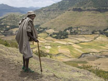 Campos rehabilitados junto a la aldea de Raya Azebo (Tigray, Etiopía).