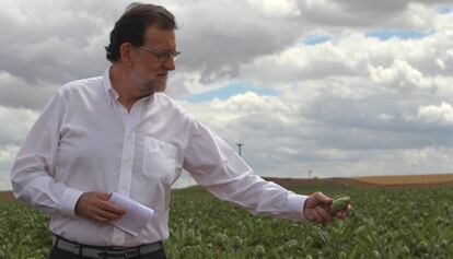 Mariano Rajoy durante una visita a la finca de cultivo de alcachofas &#039;Castel Ruiz&#039;. 