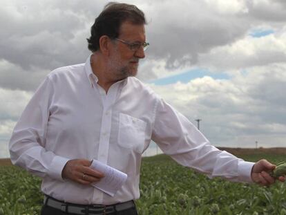 Mariano Rajoy durante una visita a la finca de cultivo de alcachofas &#039;Castel Ruiz&#039;. 