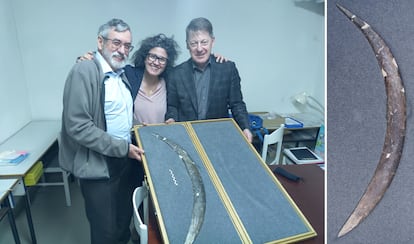 Sahra Talamo en el centro, con Paweł Valde-Nowak a su izquierda y Adam Nadachowski a su derecha junto al bumerán fabricado con un colmillo de mamut.