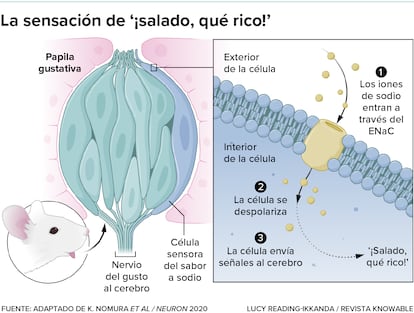 La sensación de '¡salado, qué rico!'